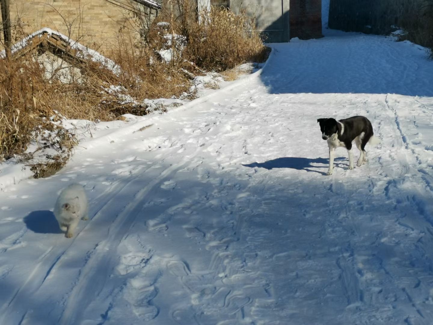 雪路