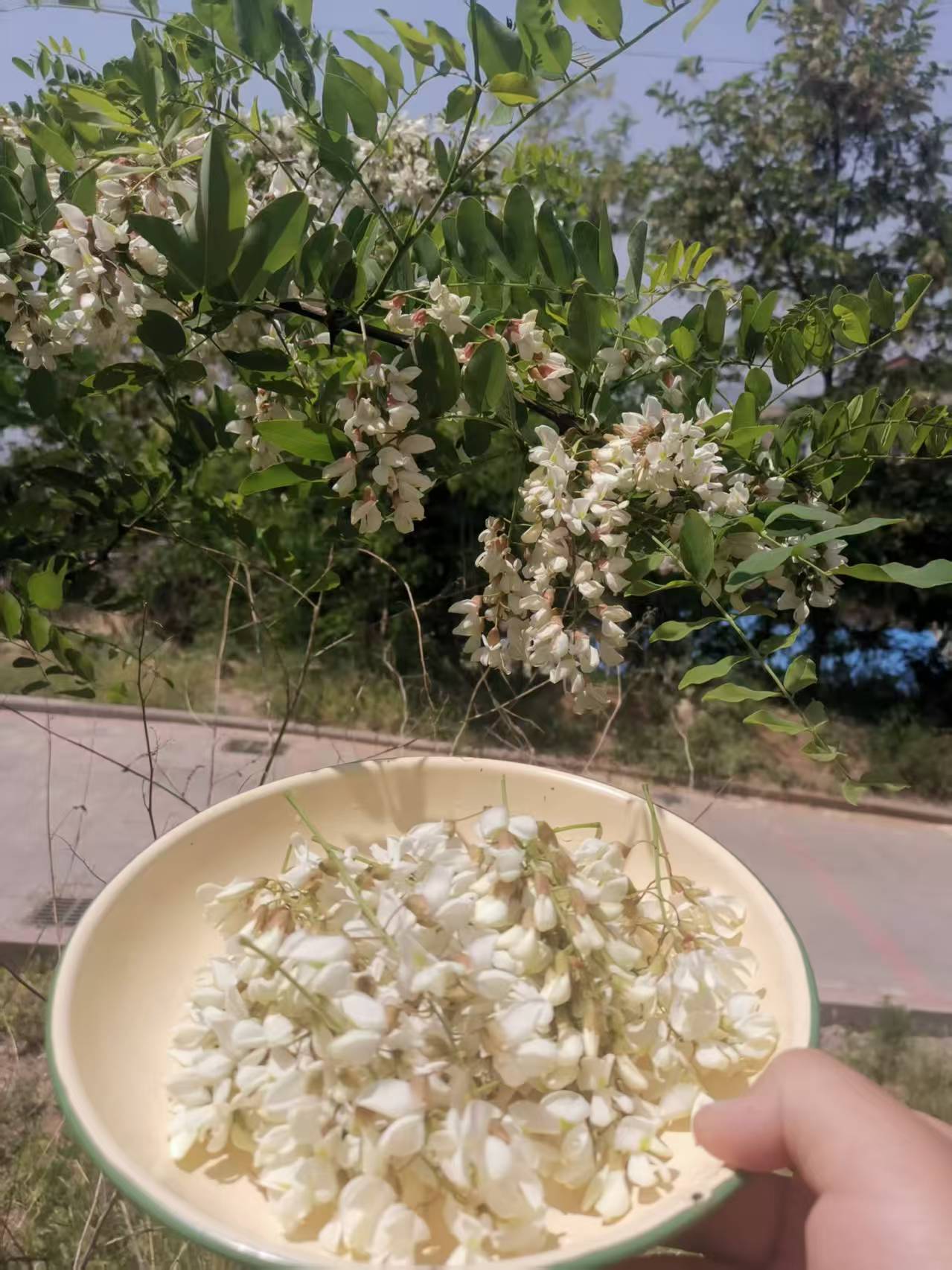 摘下来的花