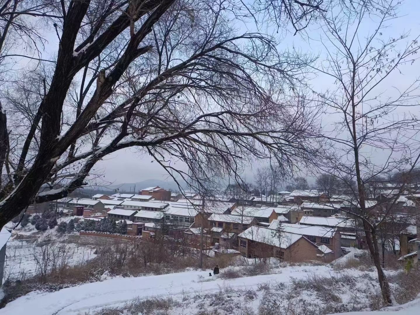 关头村雪景