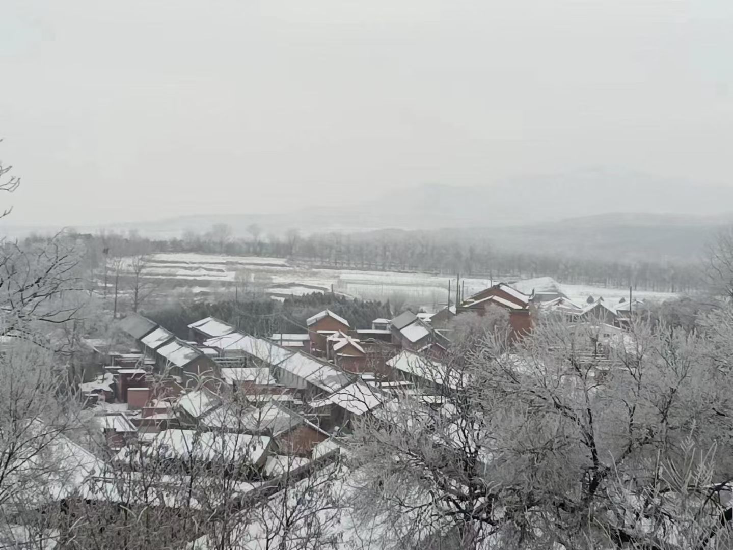 关头村雪景