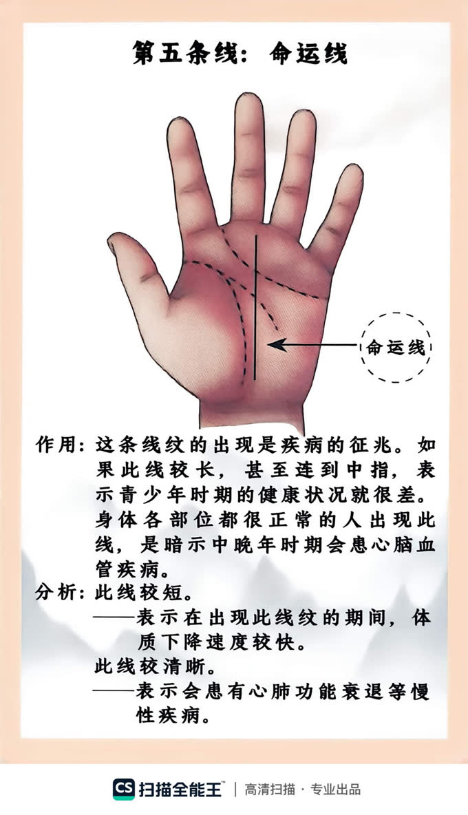 第3张