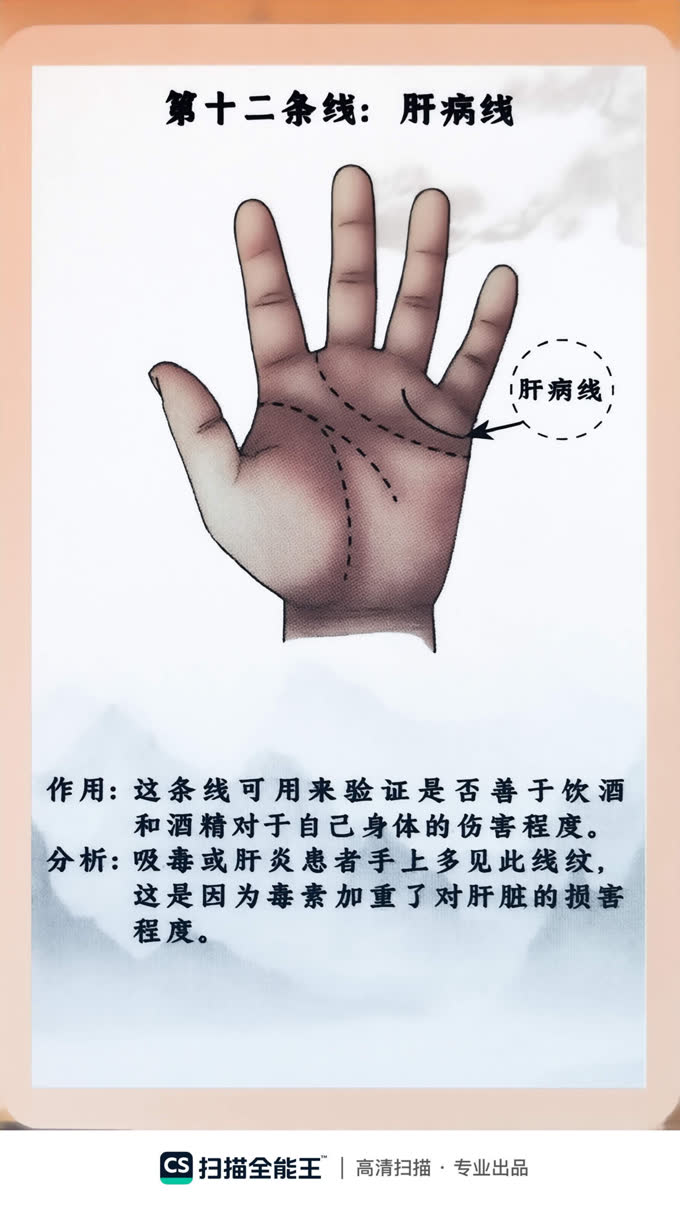 第5张