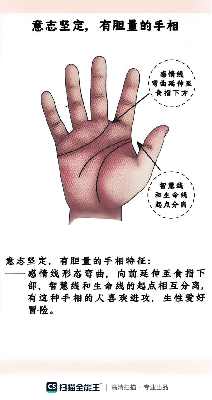 第11张