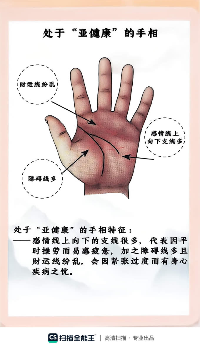 第14张