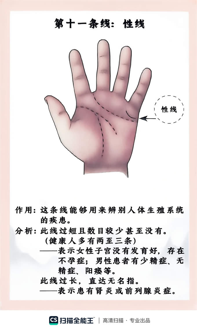 第21张
