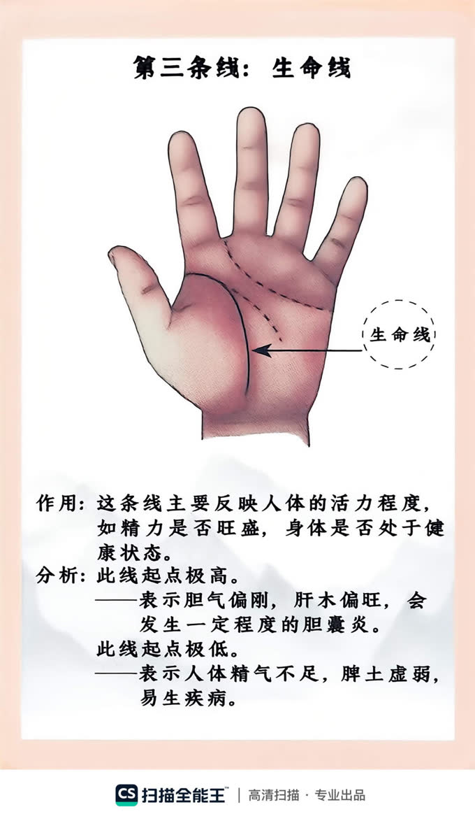 第25张