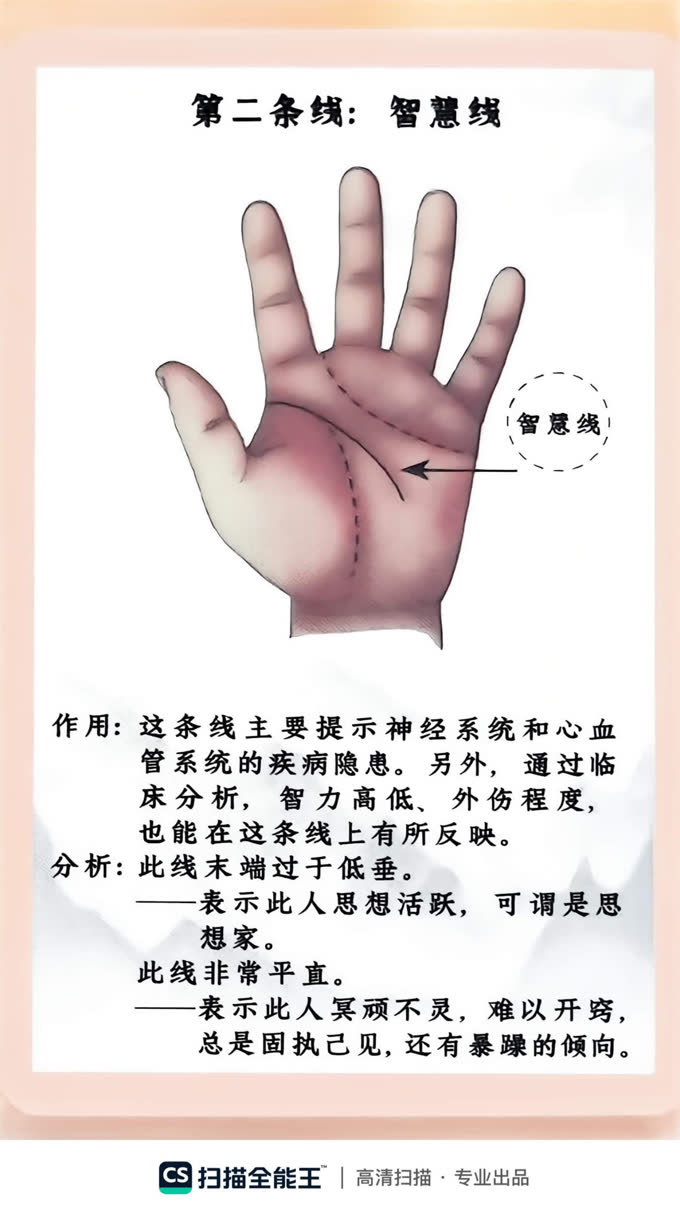 第28张