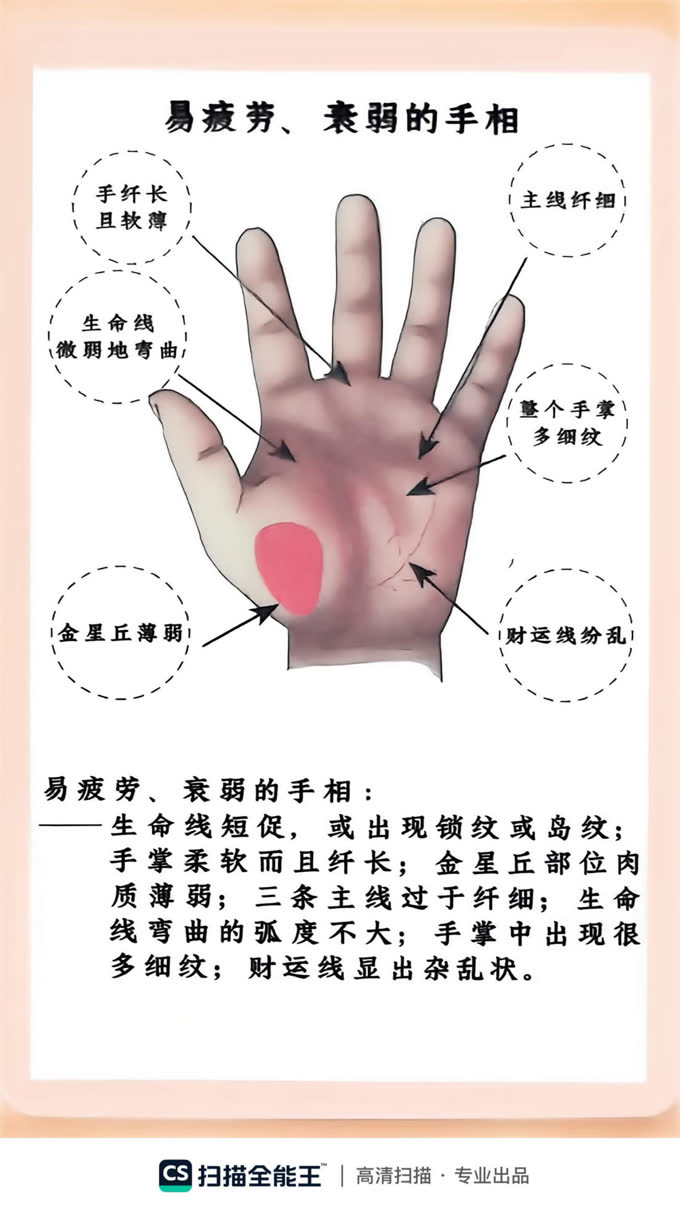 第37张