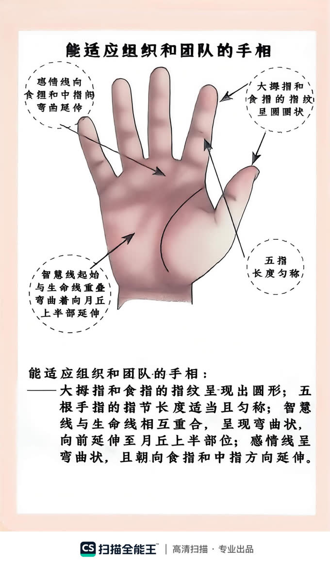 第38张
