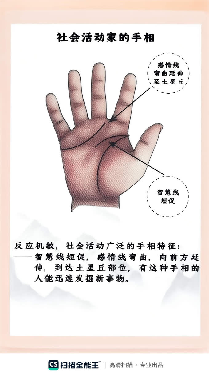 第41张