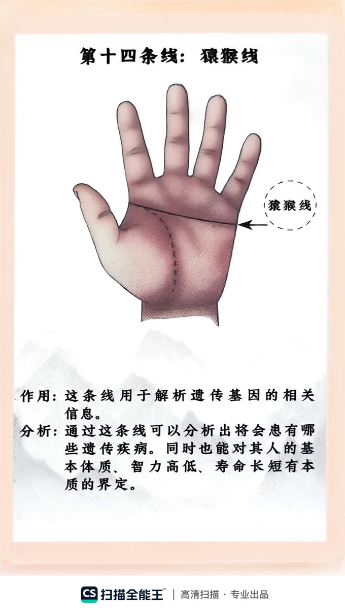 第45张