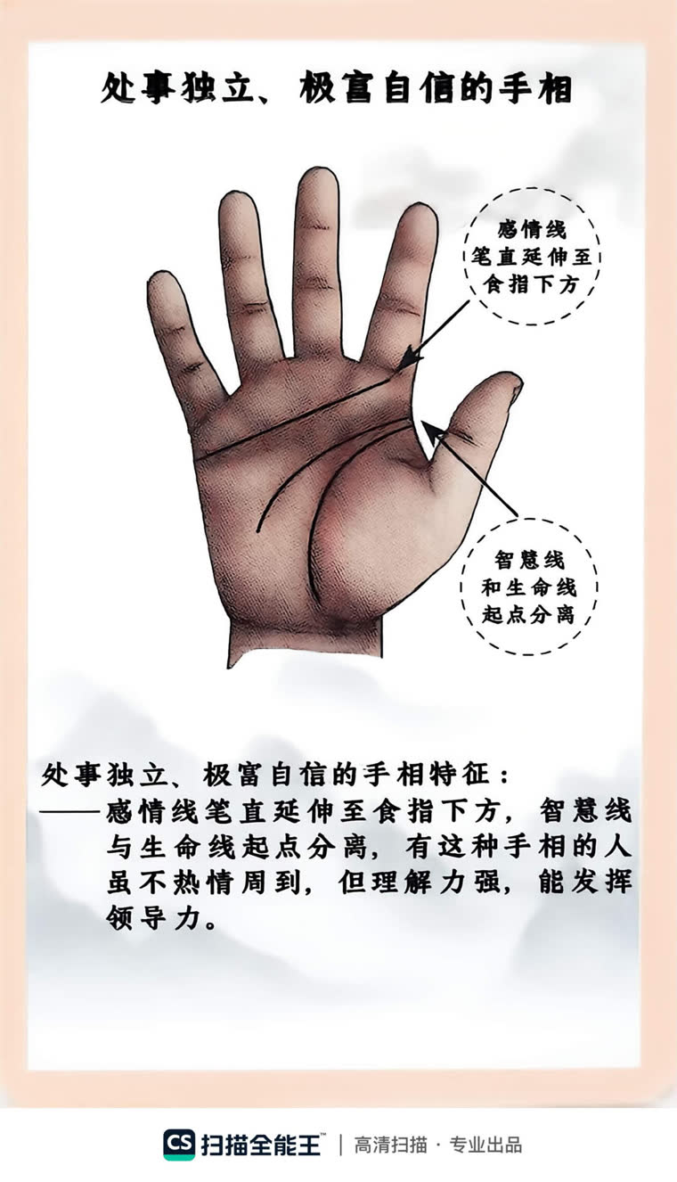 第十二条线 · 肝病线